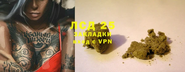 прущие грибы Слюдянка