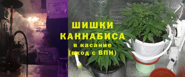 спайс Верея
