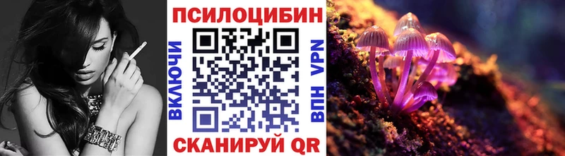 где купить наркотик  нарко площадка какой сайт  Галлюциногенные грибы MAGIC MUSHROOMS  Трубчевск  ссылка на мегу зеркало 